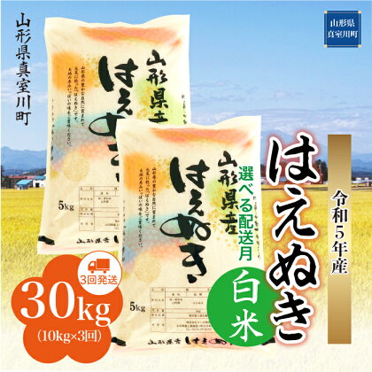 ＜配送時期が選べて便利＞令和5年産 真室川町厳選 はえぬき ＜白米＞ 30kg（10kg×1カ月ごと3回お届け）