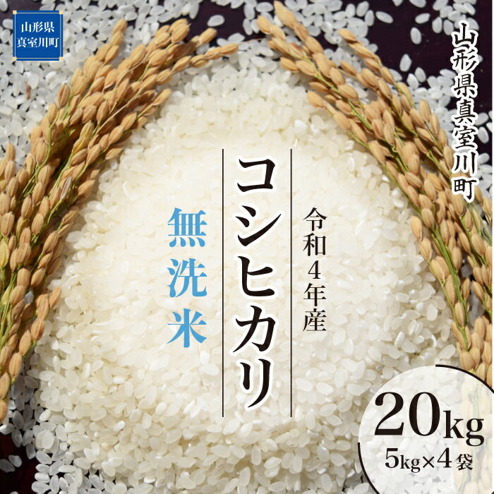 【ふるさと納税】 ＜早期受付 配送時期が選べる！＞ 令和4年産 真室川町 コシヒカリ ＜無洗米＞ 20kg（5kg×4袋）