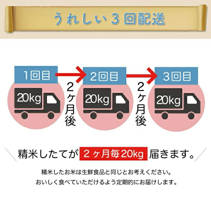 【ふるさと納税】 ＜配送時期が選べて便利な定期便＞ 令和5年産 真室川町厳選 はえぬき ＜白米＞ 60kg（20kg×2カ月ごと3回お届け）