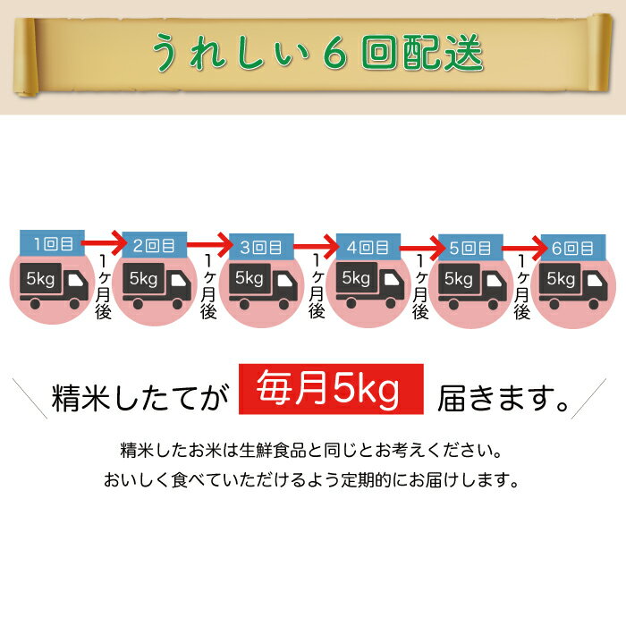 【ふるさと納税】 ＜配送時期が選べて便利な定期便＞令和5年産 真室川町厳選 はえぬき ＜無洗米＞ 30kg（5kg×1カ月ごと6回お届け）