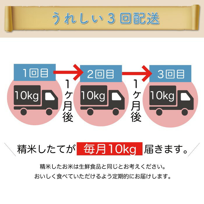 【ふるさと納税】 ＜配送時期が選べて便利な定期便＞令和5年産 真室川町厳選 はえぬき ＜玄米＞ 30kg（10kg×1カ月ごと3回お届け）