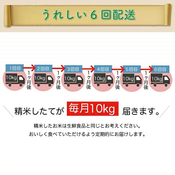 【ふるさと納税】 ＜早期受付 配送時期が選べる！＞ 令和4年産 真室川町 特別栽培米 つや姫 ＜無洗米＞ 60kg 定期便（10kg×6回お届け）