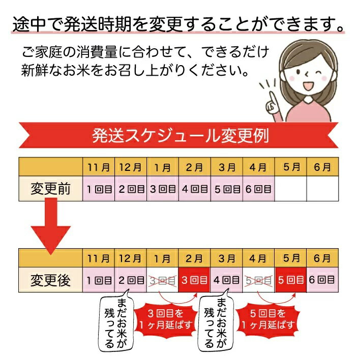 【ふるさと納税】 ＜早期受付 配送時期が選べる！＞ 令和4年産 真室川町 特別栽培米 つや姫 ＜無洗米＞ 60kg 定期便（10kg×6回お届け）