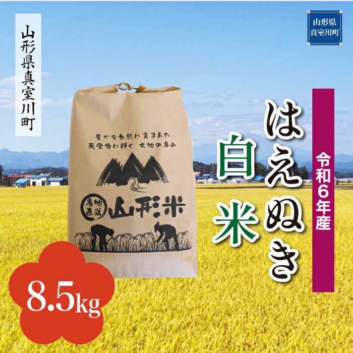 【ふるさと納税】 令和6年産 真室川町厳選 はえぬき ＜白米＞ 8.5kg（8.5kg×1袋）