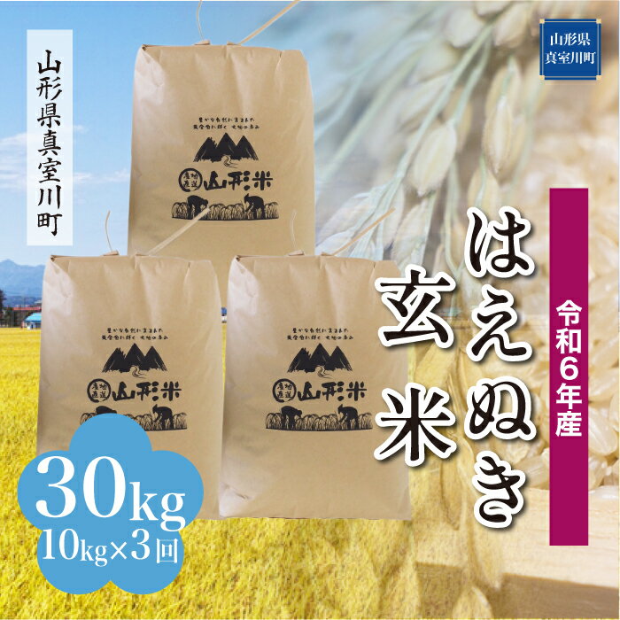 【ふるさと納税】 令和6年産 真室川町厳選 はえぬき ＜玄米＞ 30kg定期便（10kg×3回）