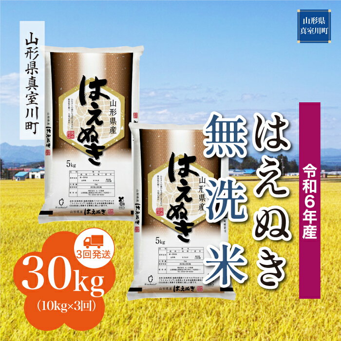 【ふるさと納税】 令和6年産 真室川町厳選 はえぬき ＜無洗米＞ 30kg 定期便（10kg×3回お届け）