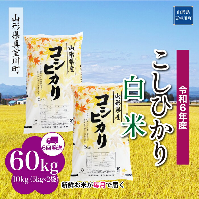 【ふるさと納税】令和6年産 真室川町 コシヒカリ ［白米］ 60kg 定期便（10kg×6回お届け）