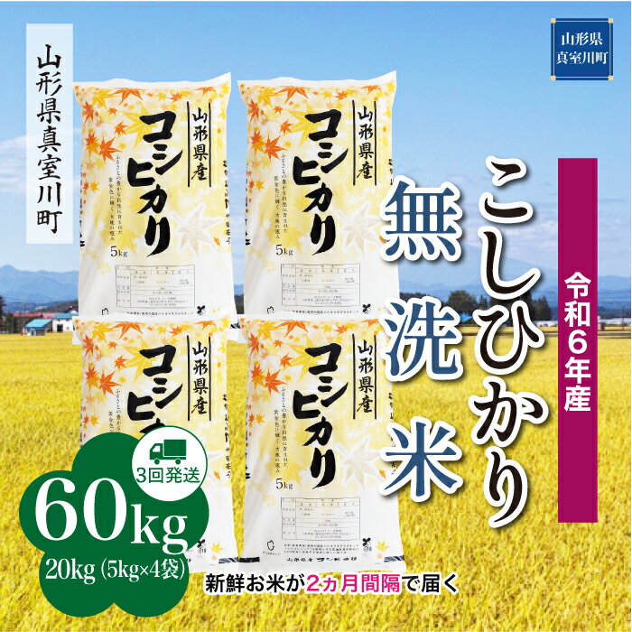 【ふるさと納税】令和6年産 真室川町 コシヒカリ ［無洗米］ 60kg 定期便（20kg×3回お届け）
