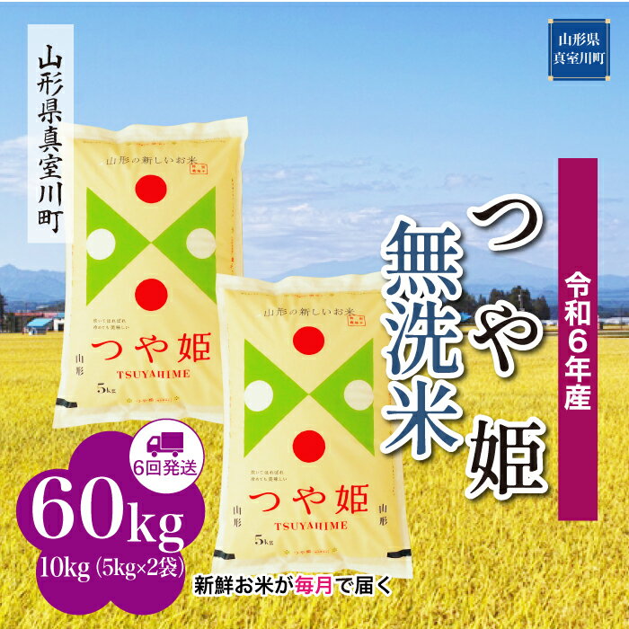 【ふるさと納税】令和6年産 真室川町 つや姫 ［無洗米］ 60kg 定期便（10kg×6回お届け）