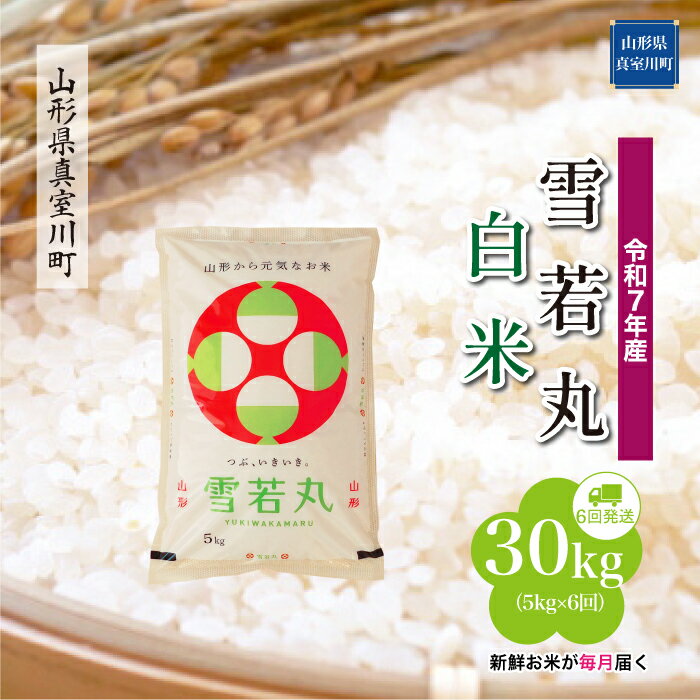 39位! 口コミ数「0件」評価「0」令和7年産 真室川町厳選 雪若丸 ［白米］ 30kg 定期便（5kg×6回お届け）