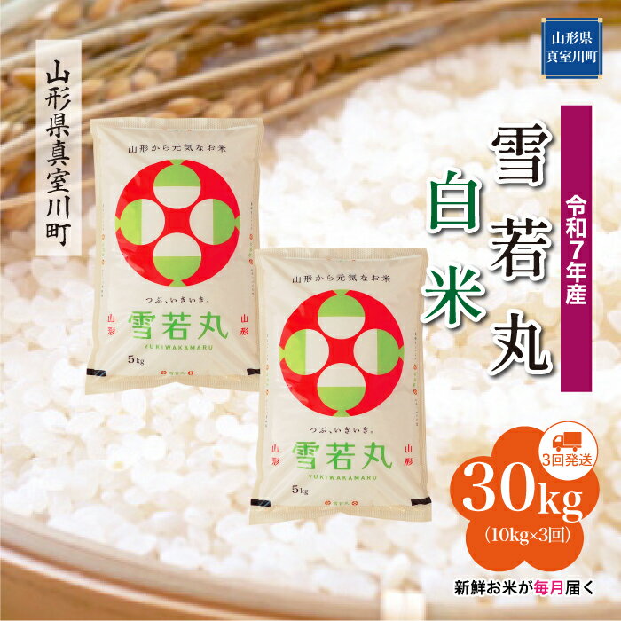 21位! 口コミ数「0件」評価「0」 令和7年産 真室川町厳選 雪若丸 ［白米］ 30kg 定期便（10kg×3回お届け）