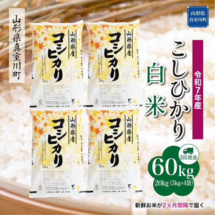 44位! 口コミ数「0件」評価「0」 令和7年産 真室川町厳選 コシヒカリ ［白米］ 60kg 定期便（20kg×3回お届け）