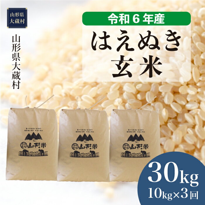 令和6年産 大蔵村 はえぬき [玄米] 30kg 定期便(10kg×3回お届け)