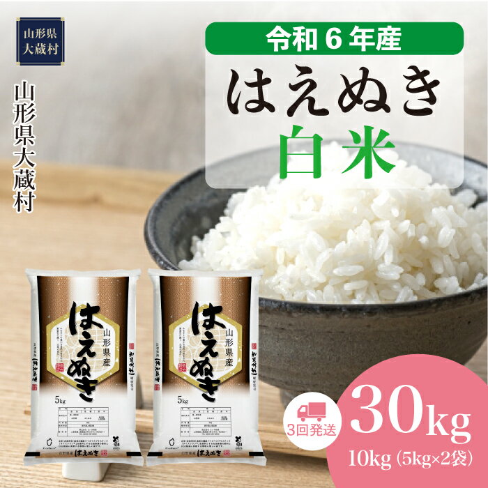 令和6年産 大蔵村 はえぬき [白米] 30kg 定期便(10kg×3回お届け)