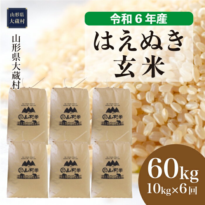 【ふるさと納税】＜令和6年産米先行受付＞ 大蔵村 はえぬき ＜玄米＞ 60kg 定期便（10kg×6回お届け）