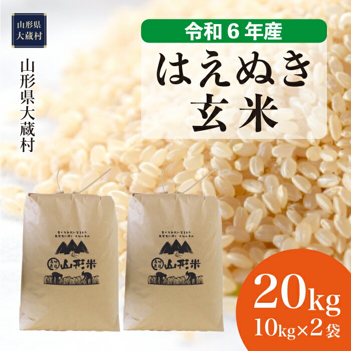 【ふるさと納税】＜令和6年産米先行受付＞ 大蔵村 はえぬき ＜玄米＞ 20kg（10kg×2袋）