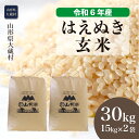 【ふるさと納税】令和6年産 大蔵村 はえぬき ＜玄米＞ 30kg（15kg×2袋）