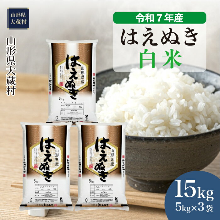 【ふるさと納税】大蔵村はえぬき15kg