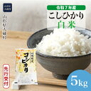 【ふるさと納税】<令和7年産米先行受付> 大蔵村 コシヒカリ <白米> 5kg(5kg×1袋)