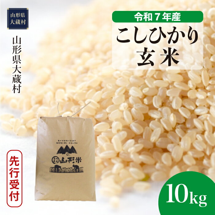 【ふるさと納税】<令和7年産米先行受付> 大蔵村 コシヒカリ <玄米> 10kg(10kg×1袋)