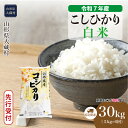 【ふるさと納税】<令和7年産米先行受付> 大蔵村 コシヒカリ <白米> 30kg定期便(5kg×6回お届け)