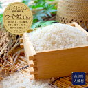 【ふるさと納税】グリーンライスファームの特別栽培米　つや姫10kg
