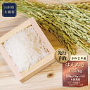 【ふるさと納税】令和2年産 はえぬき120kg≪20kg×6