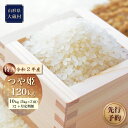 【ふるさと納税】令和2年産 つや姫120kg≪年間定期便:毎