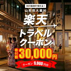 【ふるさと納税】山形県大蔵村の対象施設で使える楽天トラベルクーポン　寄付額30,000円