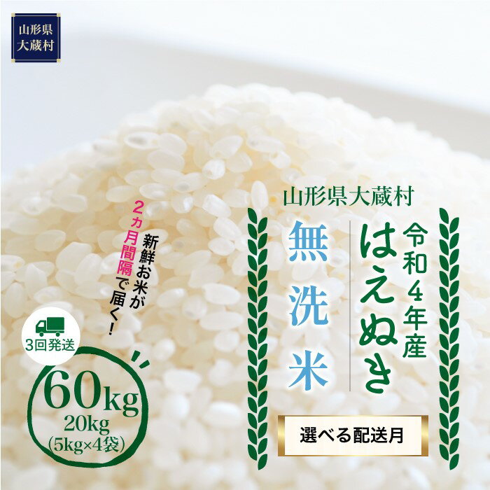 【ふるさと納税】令和4年産大蔵村はえぬき60kg定期便(20kg×3回)〈無洗米〉