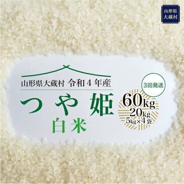 【ふるさと納税】 令和4年産 大蔵村 特別栽培米 つや姫 ＜白米＞ 定期便 60kg （20kg×3回お届け）