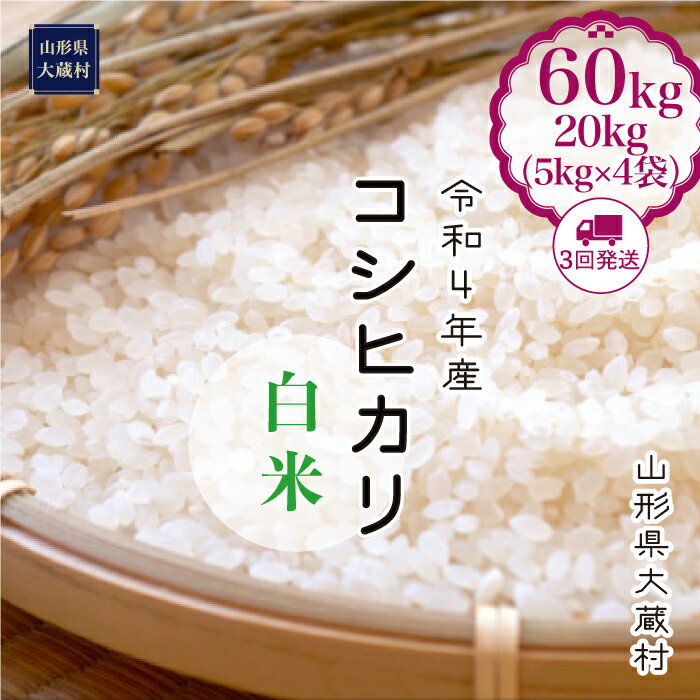 【ふるさと納税】令和4年産大蔵村コシヒカリ<白米>定期便60kg(20kg×3回お届け)