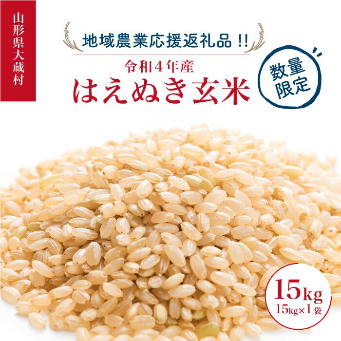 【ふるさと納税】 【数量限定！】令和4年産　大蔵村はえぬき【玄米】15kg　～地域農業応援返礼品～