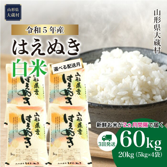 【ふるさと納税】＜令和5年産＞ 大蔵村 はえぬき ＜白米＞ 定期便 60kg （20kg×2か月間隔で3回お届け）