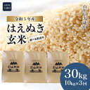 【ふるさと納税】＜令和5年産＞ 大蔵村 はえぬき ＜玄米＞ 