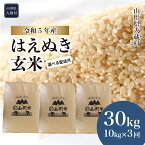 【ふるさと納税】＜令和5年産＞ 大蔵村 はえぬき ＜玄米＞ 30kg 定期便（1か月間隔で3回お届け）