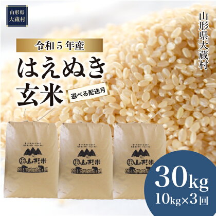 ＜令和5年産＞ 大蔵村 はえぬき ＜玄米＞ 30kg 定期便（1か月間隔で3回お届け）