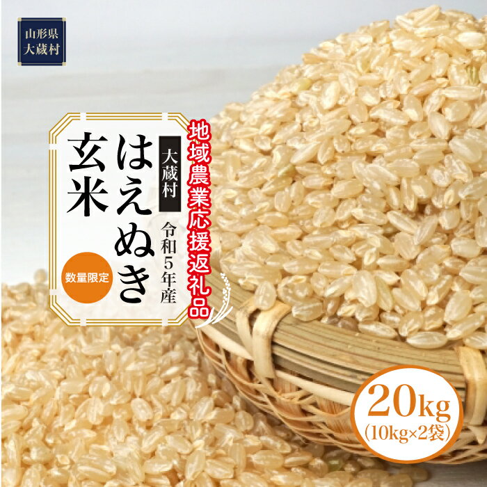 【ふるさと納税】令和5年産　はえぬき［玄米］20kg（10kg×2袋）～地域農業応援返礼品～