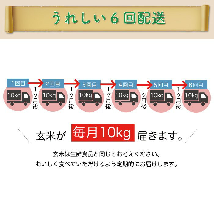 【ふるさと納税】＜令和7年産米＞ 大蔵村 雪若丸 ＜玄米＞ 60kg定期便（10kg×6回お届け）