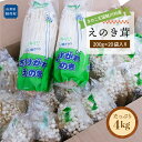 山形県鮭川村の画像1