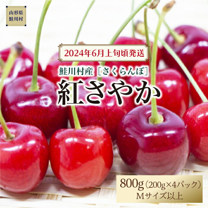 ［2024年6月上旬頃発送］　鮭川村のさくらんぼ＜紅さやか＞　200g×4パック