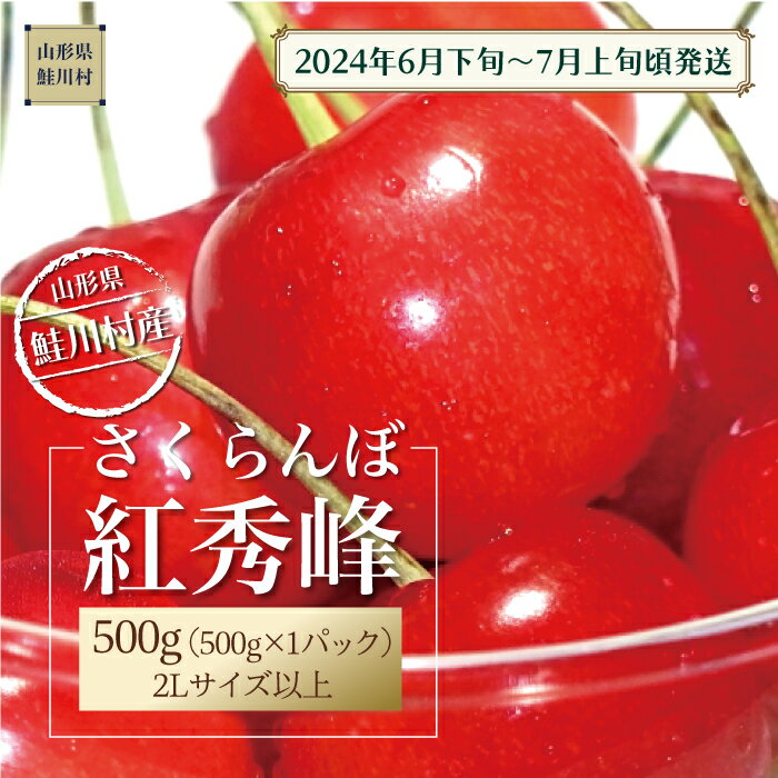 [2024年6月下旬〜発送] 鮭川村のさくらんぼ[紅秀峰] 500g