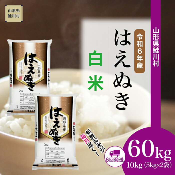 ＜令和6年産米 早期受付＞ 鮭川村 はえぬき【白米】定期便 60kg （10kg×1ヶ月間隔で6回お届け）