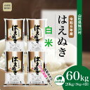 【ふるさと納税】令和6年産 鮭川村 はえぬき【白米】定期便 