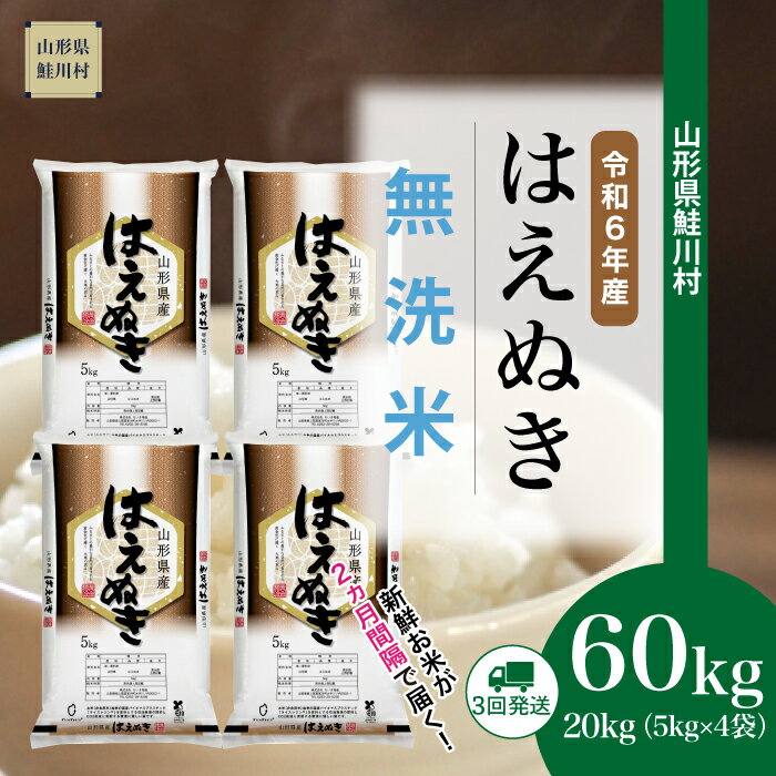 【ふるさと納税】＜令和6年産米 早期受付＞ 鮭川村 はえぬき