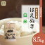 【ふるさと納税】＜令和6年産米 早期受付＞ 鮭川村 はえぬき【白米】 8.5kg （8.5kg×1袋）