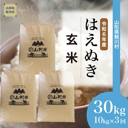 令和6年産 鮭川村 はえぬき【玄米】 30kg 定期便（10kg×3回発送）