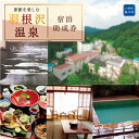 【ふるさと納税】美人の湯 羽根沢温泉 宿泊助成券 <加登屋旅館 他、羽根沢温泉で使えます>