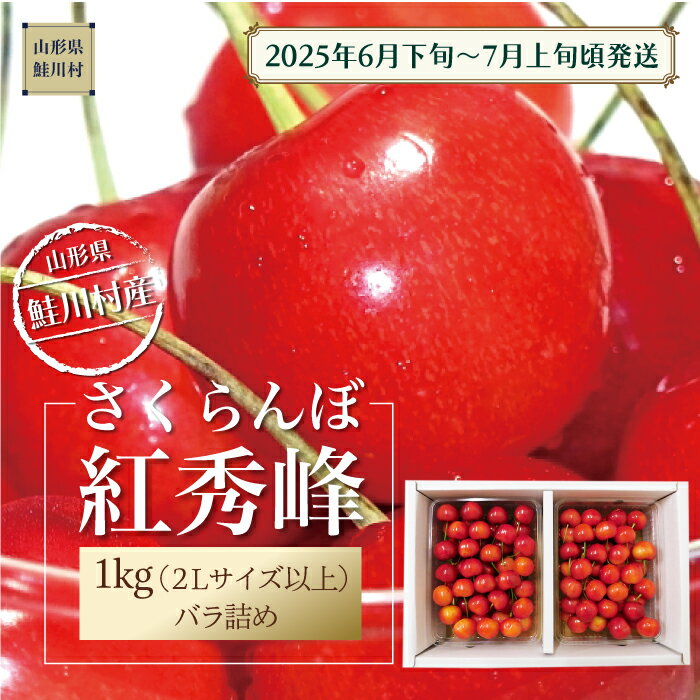 【ふるさと納税】【令和7年産 早期受付】 鮭川村産さくらんぼ <紅秀峰> 特秀2Lサイズ以上バラ詰め 1kg(500g×2P)