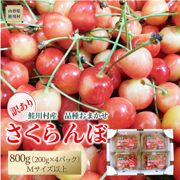 【ふるさと納税】【令和7年産 早期受付】 ★訳あり★　鮭川村産さくらんぼ ＜品種おまかせ＞ フードパック800g（200g×4P）のサムネイル